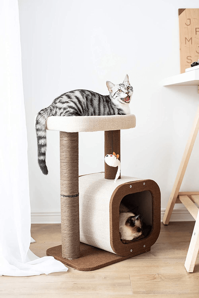 Catry Kitten Cat Tree Condo with Paper Rope Covered Scratching Post Activity Center for Climbing Relaxing and Playing Natural Jute Fiber Pet Stand Animals & Pet Supplies > Pet Supplies > Cat Supplies > Cat Beds Catry   