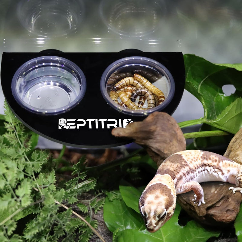 Gecko Feeding Ledge with 6Pcs Crested Gecko Food Dish, Reptile Food Dish for Crested Gecko Leopard Gecko Chameleon, Magnet Adsorption, Acrylic