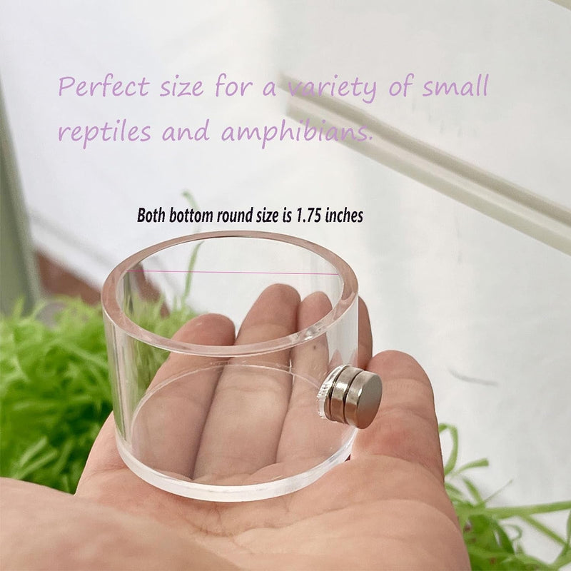 2Pcs Jumping Spider Feeding Dish, Magnetic Tiny Food Dishes Water Dish for Jumping Spider, Tarantula and Other Small Pets,Transparent