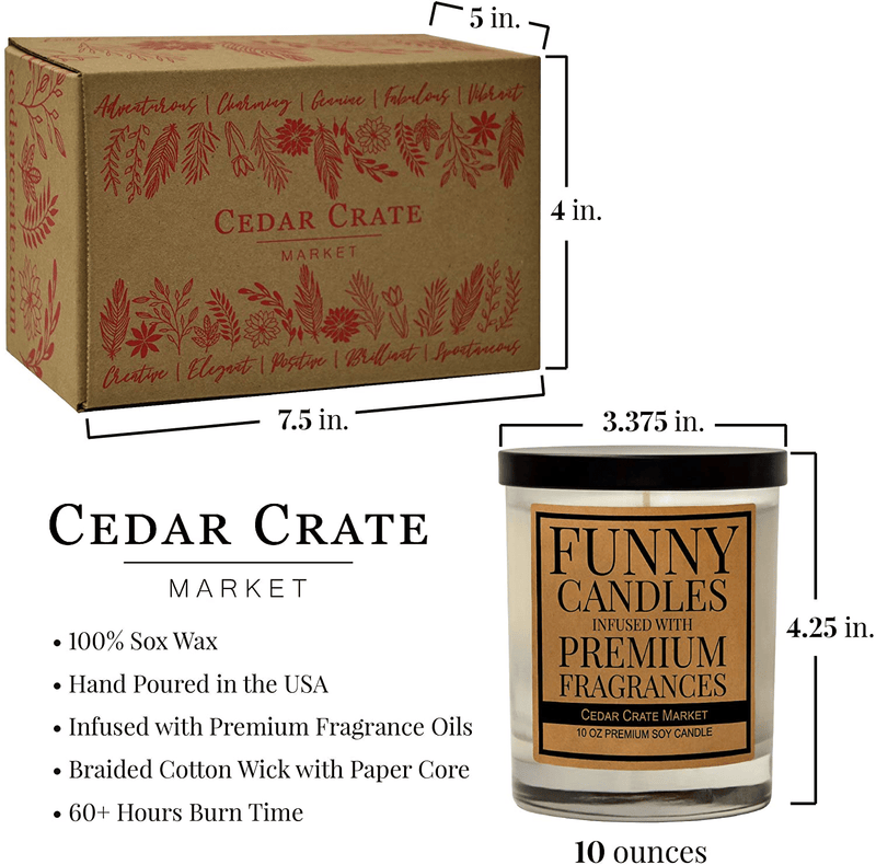 Cedar Crate Market - Best Sister Ever - Big Sister, Little Sister Birthday Gift from Sister, Funny Candle Gift from Brother, Sister in Law, Sisters Gift Ideas, Worlds Greatest Sister - Made in USA Home & Garden > Decor > Home Fragrances > Candles Cedar Crate Market   