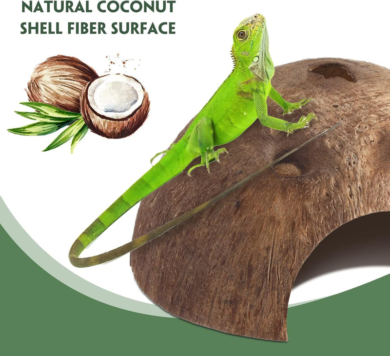 6 Pcs Coconut Shell Reptile Hideouts Hut Reptile Hides and Caves Coconut Hide for Reptile Small Animal Hide Cave Hut for Leopard Gecko Snake Aquarium Fish Lizard Hermit Crab Supplies House Accessories