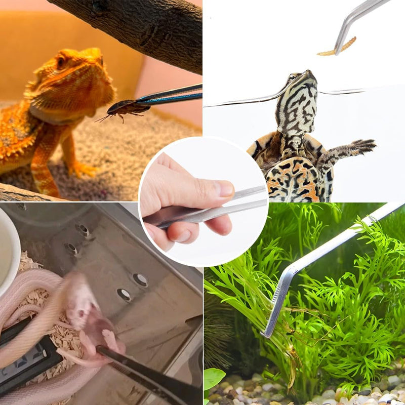 3Pcs Reptile Metal Feeding Tongs, Snake Tank Long Tweezers Fit Bearded Dragon Tarantula Spider Gecko Lizard Frog Turtle Ball Python Aquarium Terrarium