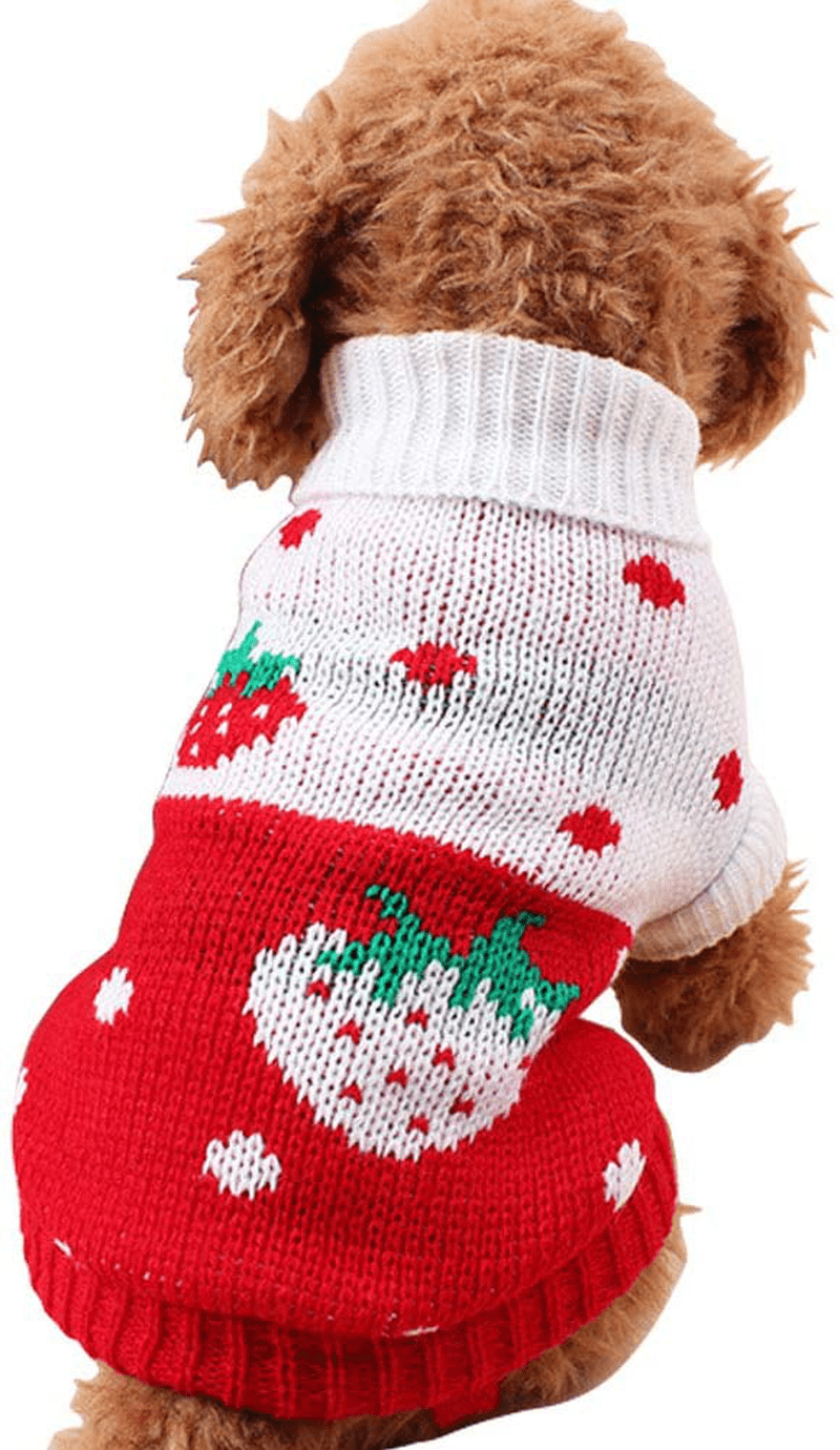 CHBORCHICEN Pet Dog Sweaters Classic Knitwear Turtleneck Winter Warm Puppy Clothing Cute Strawberry and Heart Doggie Sweater Animals & Pet Supplies > Pet Supplies > Cat Supplies > Cat Apparel CHBORCHICEN Red1 Small 