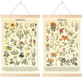 Chenkaiyang 2 Pcs Vintage Poster Hanging,Flowers Wall Hanging Botanical Rustic Retro Wall Art Prints Flower Chart Posterfor Living Room Decor,12.7 X 21.6 Inch Home & Garden > Decor > Artwork > Posters, Prints, & Visual Artwork Chenkaiyang flowers  