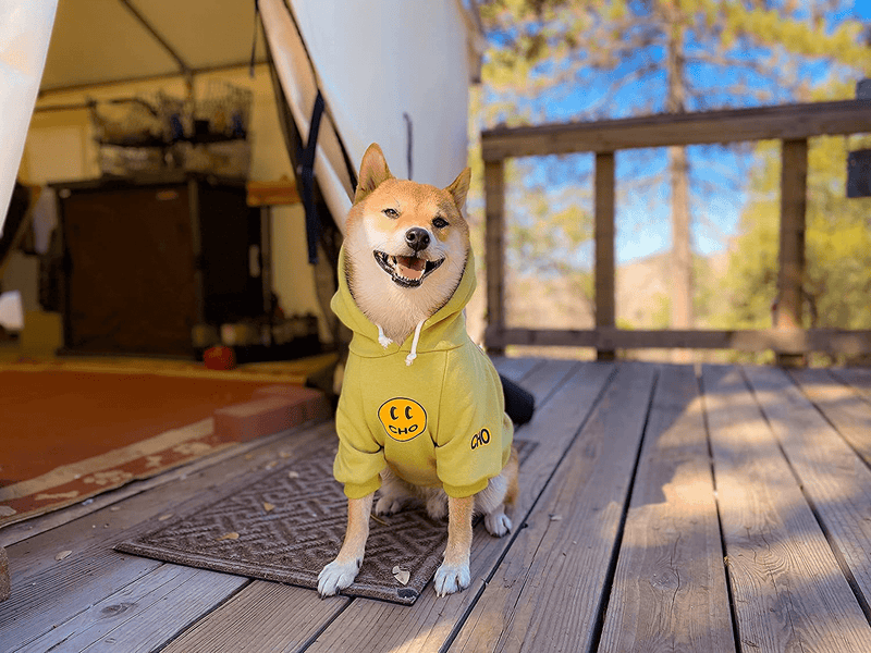 Chochocho Smile Dog Hoodie, Smiley Face Dog Sweater, Stylish Dog Clothes, Cotton Sweatshirt for Dogs and Puppies, Fashion Outfit for Dogs Cats Puppy Small Medium Large Animals & Pet Supplies > Pet Supplies > Dog Supplies > Dog Apparel ChoChoCho   