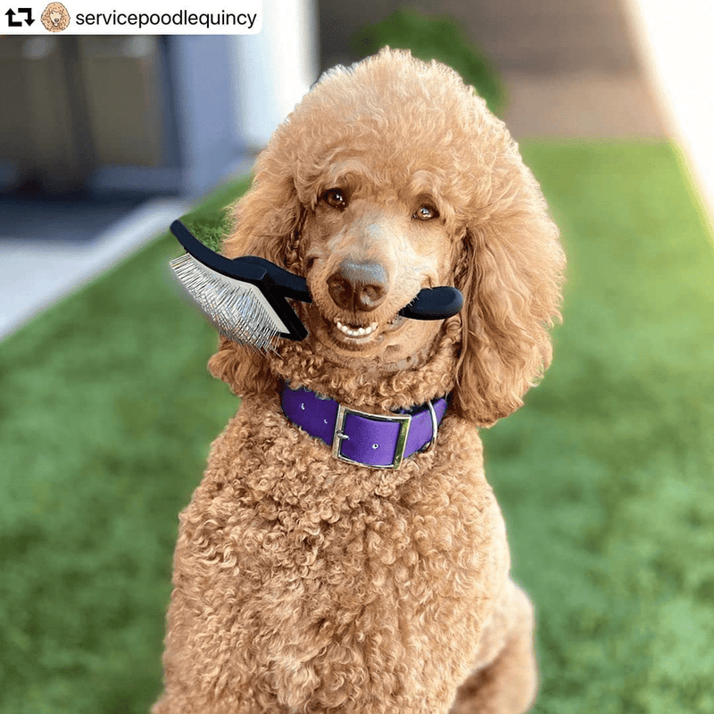 Chris Christensen Big K Dog Slicker Brush for Professional Groomers and Show Dogs, Fluff Detangle Style, Saves Time Energy, Black, Medium