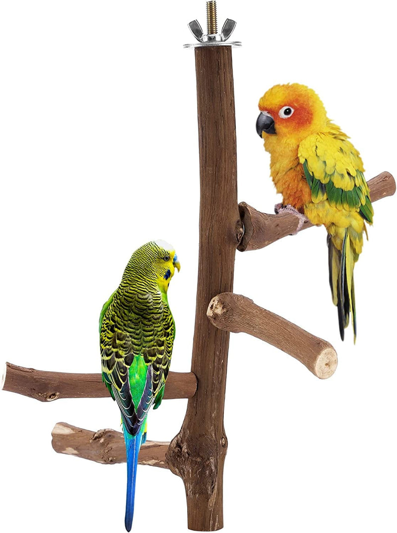 Cozycabin 4 Pcs Bird Perches Parrot Stand, Natural Wood Bird Perch Stand Bird Cage Accessories for Small Budgies Conure Parakeets Cockatiels Lovebirds Animals & Pet Supplies > Pet Supplies > Bird Supplies > Bird Cages & Stands CozyCabin Style 2  