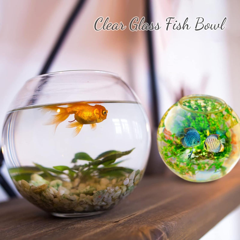 Clear Bowl Glass Vase Glass Bubble Bowl Glass round Vase Clear Bubble Planter Terrarium Fish Bowl Fish Bowl Vase for Wedding Event Home Decor Flowers Fish (6 Pcs, 4.5 X 3.7 X 5.9 Inch)