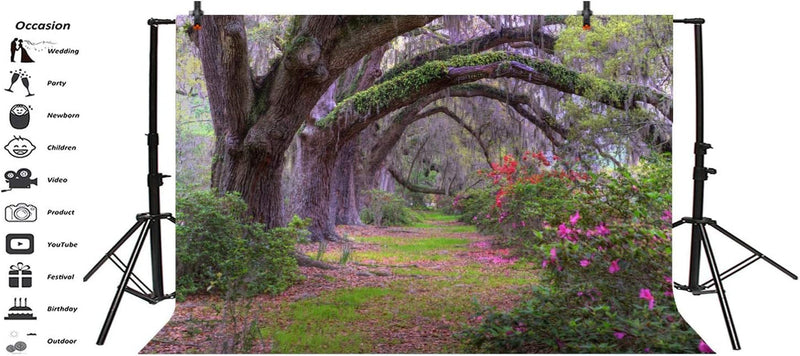 10X8Ft Garden Park Scenery Backdrop for Photography Old Tree Lined Path Purple Flowers Beautiful Forest Jungle Backdrop for Party Kids Baby Wedding Portrait Outdoor Party Photoshoot Studio Props