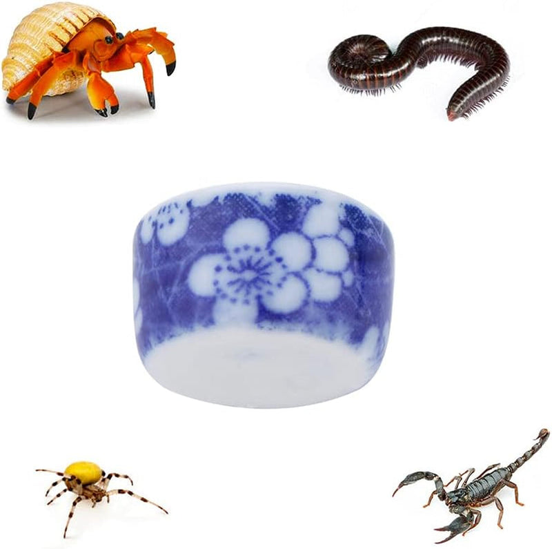 9 Pcs Spider Micro Ceramic Water Bowl, Hermit Crab Mini Dish for Spider Tarantula Hermit Crab Millipede Tiny Reptile