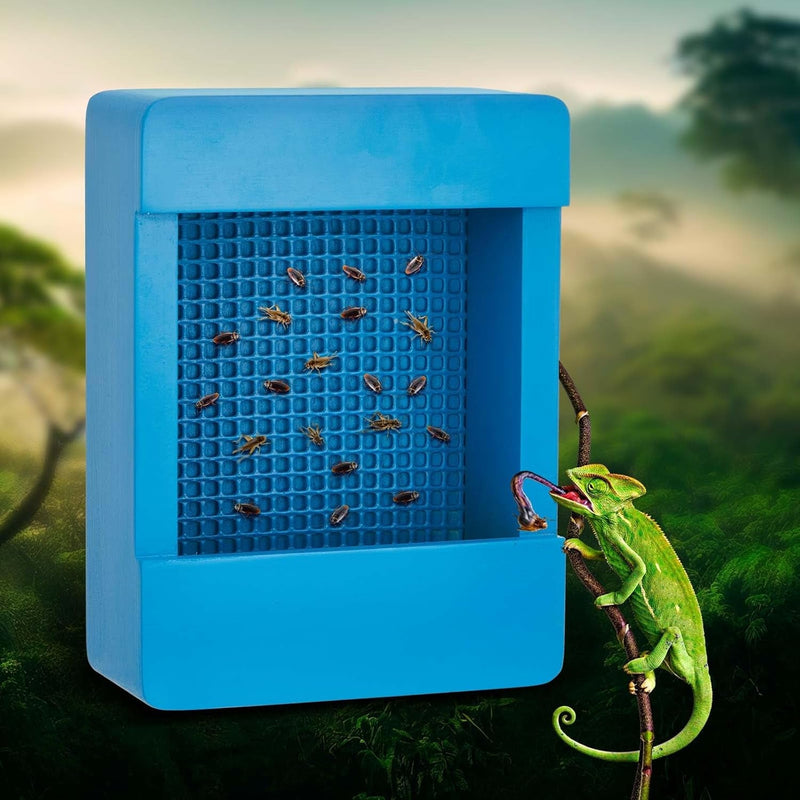 Chameleon Feeder Bearded Dragon Bug Bowl Wooden Bearded Dragon Feeder Insect Reptile Feeder Box with Grid Plate for Feeding Chameleon Gecko Lizard Frog Aquarium Accessories, Blue