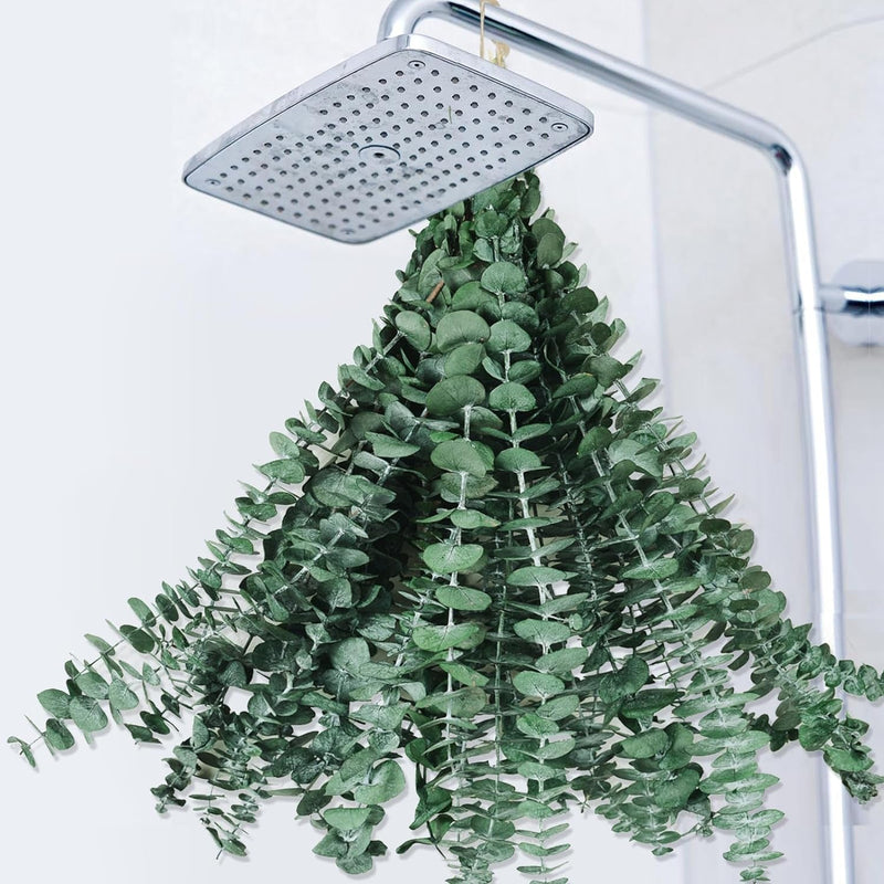 Lot de 12 tiges d'eucalyptus séchées pour douche - Grandes tiges d'eucalyptus préservées de 43,2 cm, feuilles d'eucalyptus fraîches et réelles pour suspendre la douche, arrangement de fleurs artificielles, décoration de salle de bain pour la maison