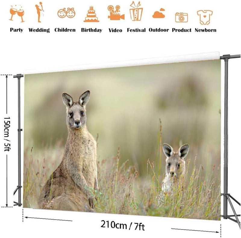 Eastern Grey Kangaroo Photography Backdrop Photographer Portrait Banner Photo Studio Photobooth Prop Photography Background Decoration Supplies 7×5Ft