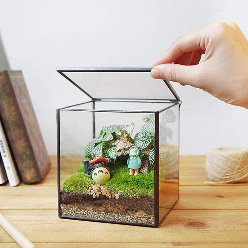 Geometric Plants Terrarium Glass Irregular Terrarium Planter Tabletop Black Opened Container Pot for Cacti Succulents Glass Planter Terrarium for Home, Garden, Office,6.5X5.7X9.8'' No Door