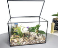 Ferrisland Glass Plant Terrarium Container Wardian Case Indoor Small Succulent Terrarium Planter W/Door for Tabletop Decor DIY - 5.0"X4.3"X4.3"