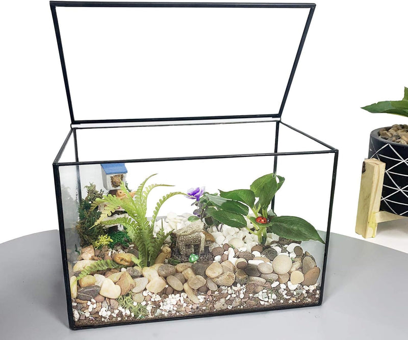 Ferrisland Glass Plant Terrarium Container Wardian Case Indoor Small Succulent Terrarium Planter W/Door for Tabletop Decor DIY - 5.0"X4.3"X4.3"