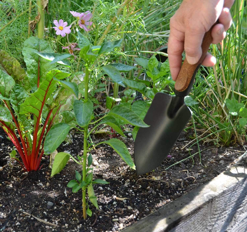 Garden Tool Set, 5 Pieces, Heavy Duty Powder Coated Steel, Cork Handle