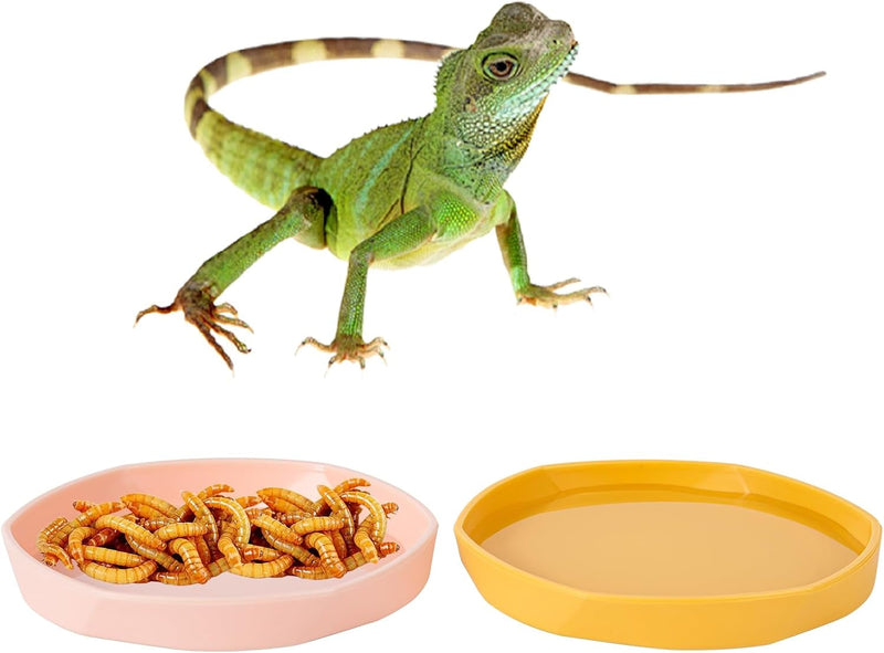 4 Pack Small Reptile Food Dish Bowl, Plastic Worm Water Dish Plate for Lizard Gecko Bearded Dragon Chameleon 4" W X 4" D X 0.5" H, Blue and Yellow