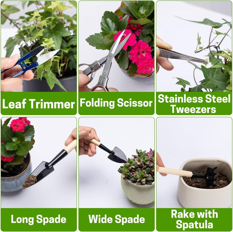 Bonsai Set 8 Pcs - Include Pruner,Fold Scissors,Mini Rake,Bud & Leaf Trimmer Set by ZELAR Made