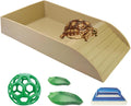 5 Pcs Tortoise Water Dish Set,Tortoise Water Dish with Ramp and Turtle Water Bowl,Turtle Feeder Ball,Scrub Brush,Amphibian Reptile Water Bowl Turtle Pool Suitable for Turtles,Lizards (Brown)