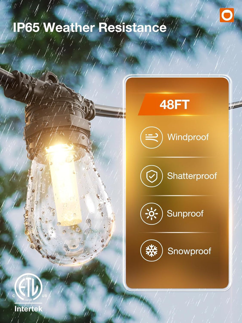 Addlon 48FT Outdoor String Lights with Remote, 3-Color Dimmable & Timer Patio Lights, Waterproof Hanging Lights outside with 15 Shatterproof Bulbs, Commercial Grade Outdoor Lights for Backyard Porch