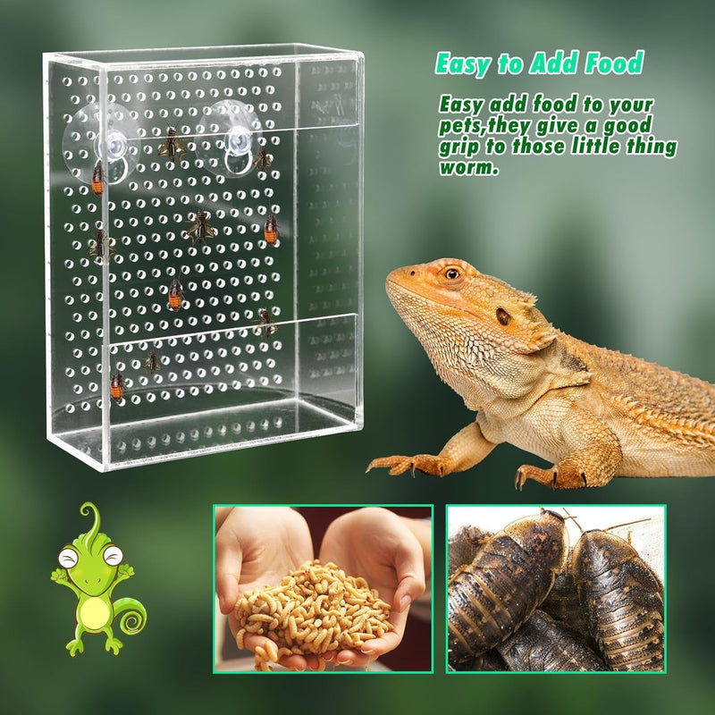 Bearded Dragon Feeder, Chameleon Bug Bowl, Transparentk Acrylic Reptile Feeder Box, Wall-Mounted Insect Feeder with Suction Cups, Tank and Aquarium Accessories for Lizard Bearded Dragon Gecko Frog