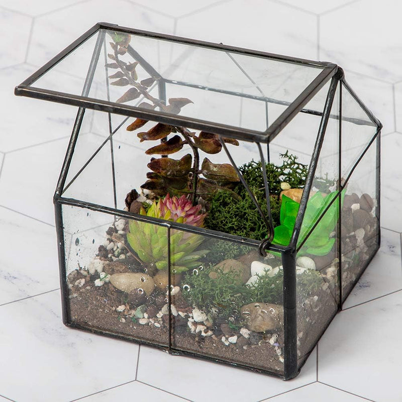 Ferrisland Glass Plant Terrarium Container Wardian Case Indoor Small Succulent Terrarium Planter W/Door for Tabletop Decor DIY - 5.0"X4.3"X4.3"