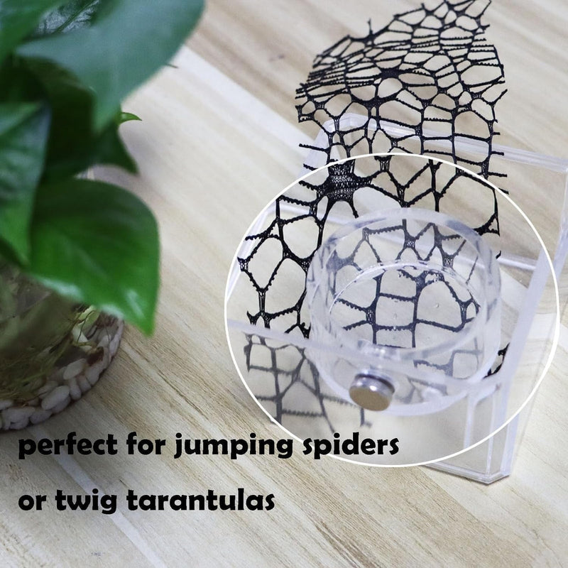 2Pcs Small Jumping Spider Feeding Dish, Magnetic Tiny Food Dishes Water Dish for Jumping Spider, Tarantula and Other Small Pets,35Mm