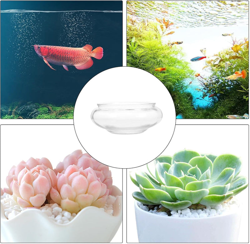 Betta Tank Glass Planter Bowl Terrarium Succulent Planter Air Plant Hydroponic Display Floating Candles Decorative Centerpiece Floral Container Home Decor S round Fish Bowl