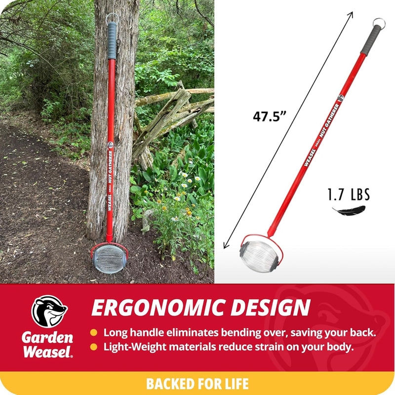 Garden Weasel Nut Gatherer - Small Cage | Pick up Small Acorns, Buckeyes, Beech Nuts | Nut Collector and Picker Upper Roller | 95334