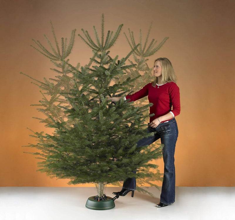 Comfort Christmas Tree Stand, Standard, 34.00 X 34.00 X 9.00 Cm, Green