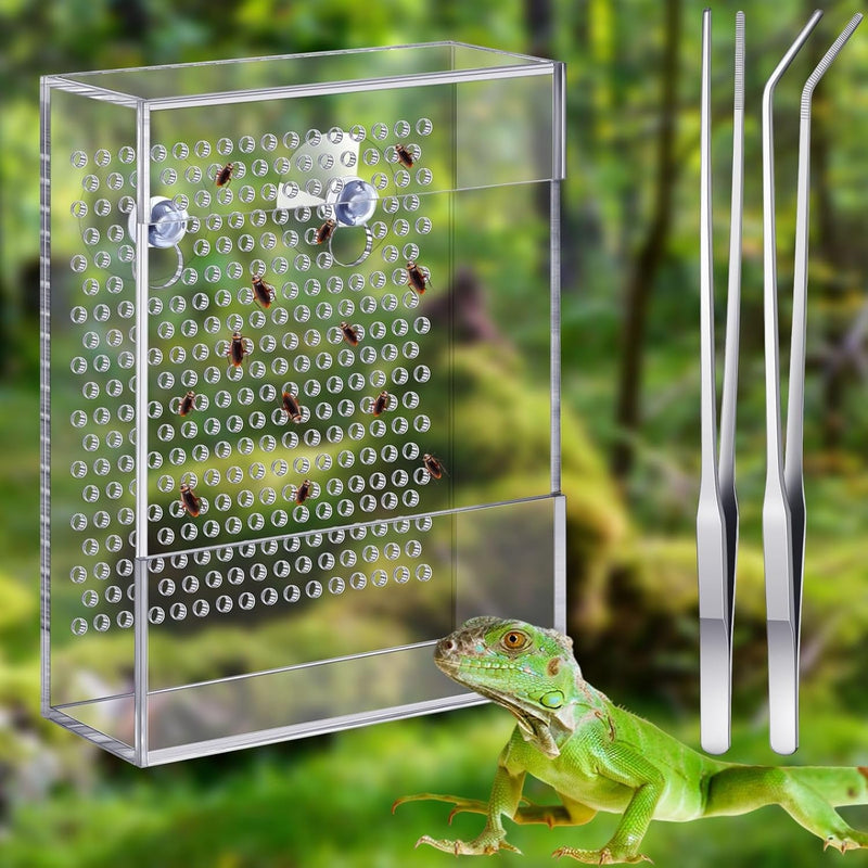 Geyoga Bearded Dragon Feeder with 2 Aquarium Tweezers Transparent Acrylic Reptile Feeder Box Chameleon Bug Bowl Wall Mounted Insect Feeder with Suction Cups for Bearded Dragon Lizard