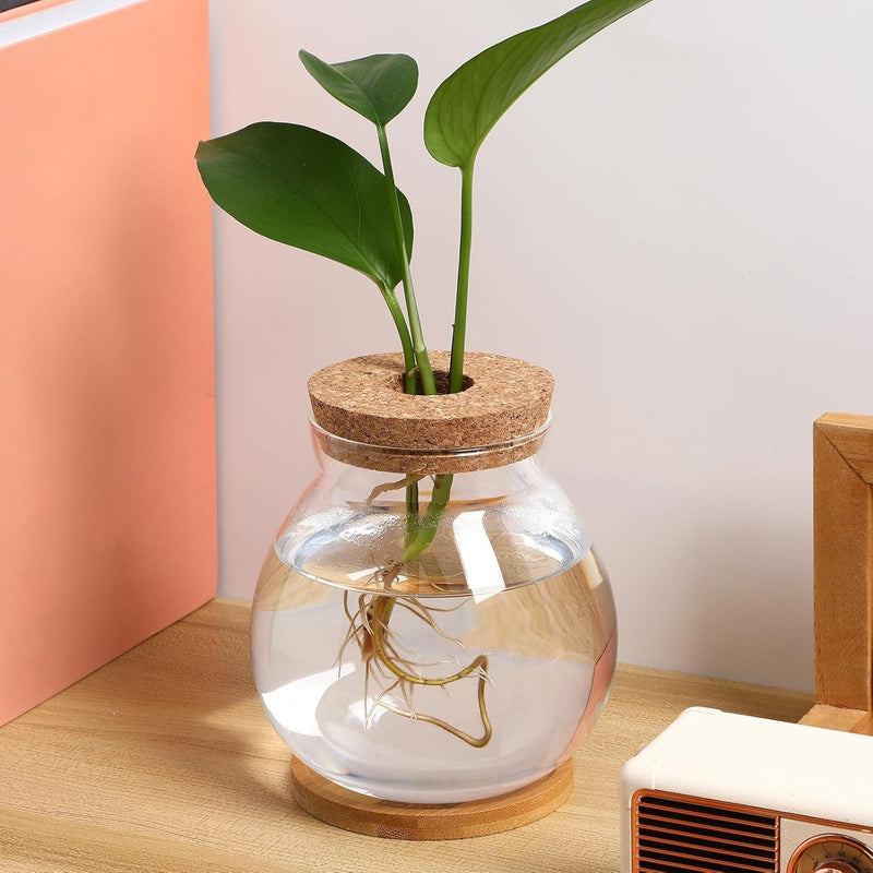 Balacoo Desktop Fish Bowl - Clear Glass Fish Tank with Wood Lid and Bamboo Stand, Small Betta Fish Plants Terrarium, Terrarium Vase for Home Office Decoration