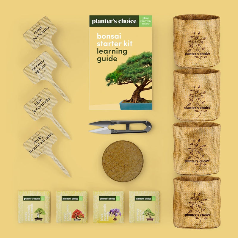 Bonsai Starter Kit - Gardening Gift for Women & Men - Bonsai Tree Growing Garden Crafts Hobby Kits for Adults, Unique DIY Hobbies for Plant Lovers - Unusual Christmas Gifts Ideas - or Gardener Mother