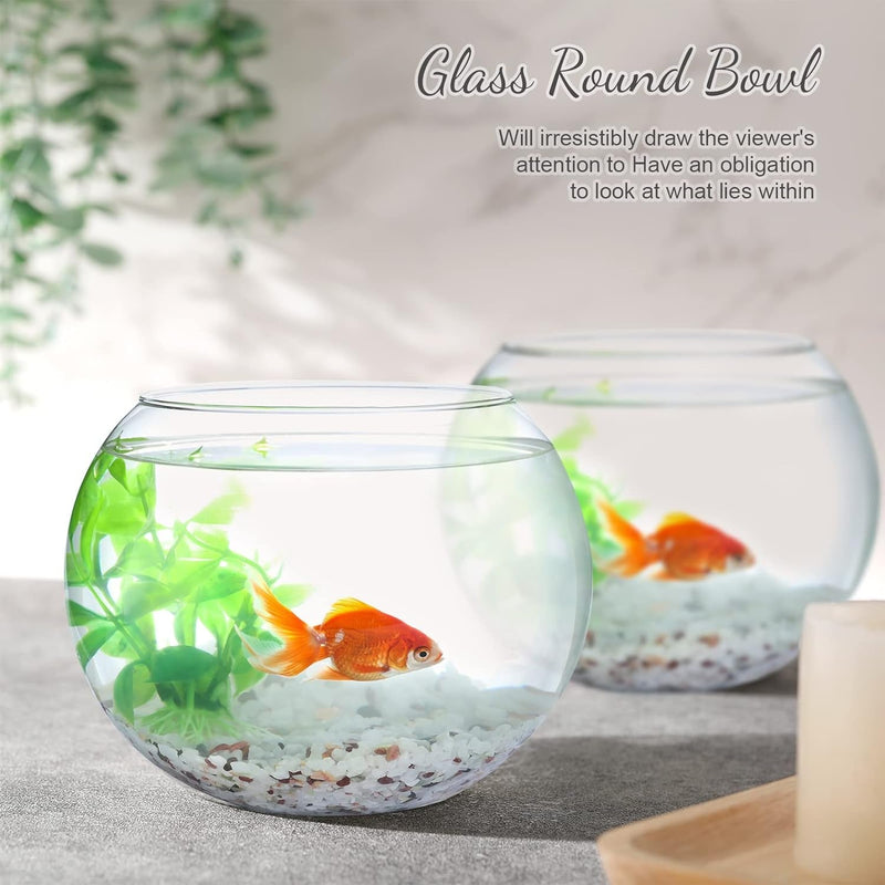 Clear Bowl Glass Vase Glass Bubble Bowl Glass round Vase Clear Bubble Planter Terrarium Fish Bowl Fish Bowl Vase for Wedding Event Home Decor Flowers Fish (6 Pcs, 4.5 X 3.7 X 5.9 Inch)