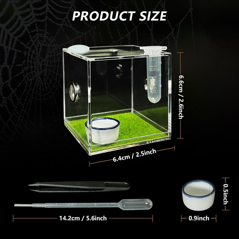 GKPONSX Acrylic Jumping Spider Enclosure, Spider Terrarium Accessories with Bowls Tongs Dropper for Snail Tarantula Scorpion Praying Mantis Isopods Insects