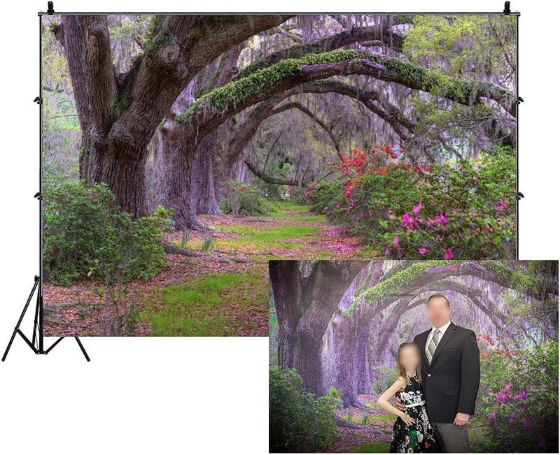 10X8Ft Garden Park Scenery Backdrop for Photography Old Tree Lined Path Purple Flowers Beautiful Forest Jungle Backdrop for Party Kids Baby Wedding Portrait Outdoor Party Photoshoot Studio Props