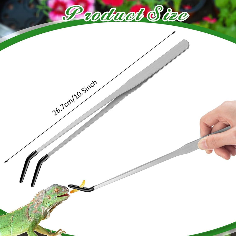 4 Pcs Bearded Dragon Food Bowl Set Reptile Snake Feeding Accessories Stainless Steel Reptile Feeding Tongs with Rubber Reptile Feeding Clamp for Bearded Dragon Lizard