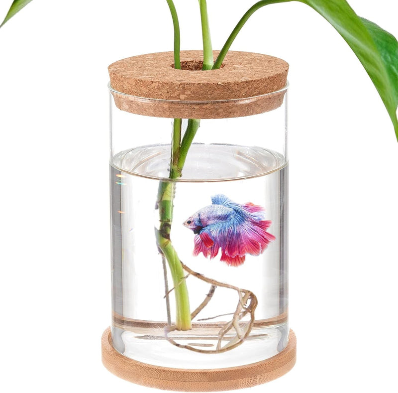 Betta Fish Tank - Mini Bowls for Beta Fish, Aquaponic Fish Tank Clear Hydroponic Plant Terrarium for Promoted Ecosphere Aquatic Ecosystem - 4.3" X 6" Drop-Shaped