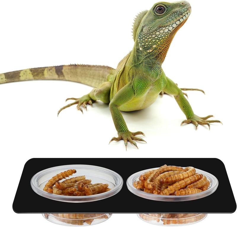 EBOOT 500 Pcs Gecko Food and Water Cups Small Plastic Feeder Cups Reptiles Accessories Reptile Water Bowl Gecko Food Cups Reptile Feeding Bowls for Gecko Lizards Tarantula and Other Small Pets (0.5Oz)