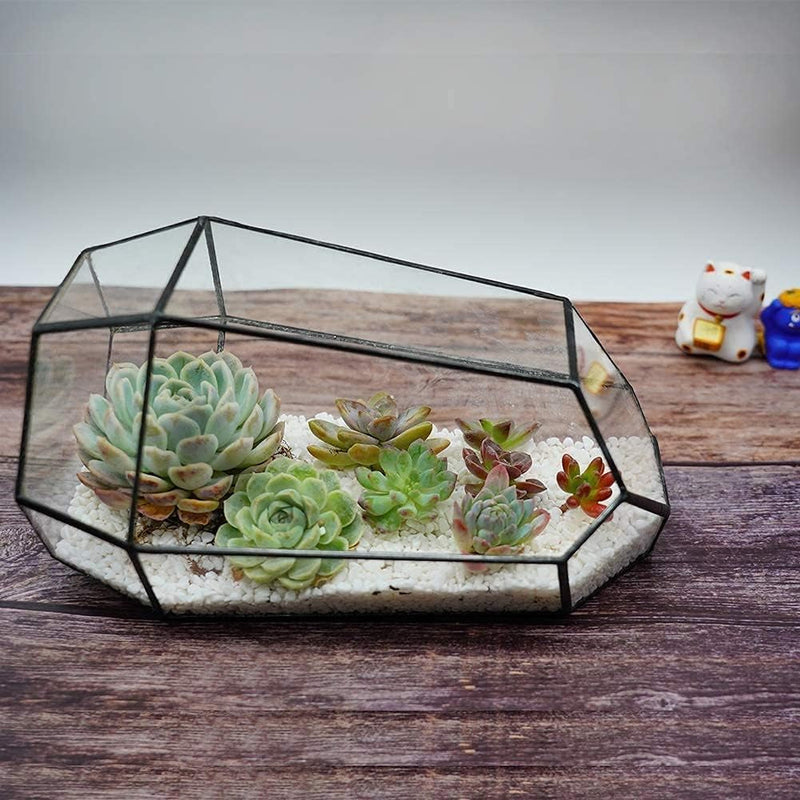 Geometric Plants Terrarium Glass Irregular Terrarium Planter Tabletop Black Opened Container Pot for Cacti Succulents Glass Planter Terrarium for Home, Garden, Office,6.5X5.7X9.8'' No Door