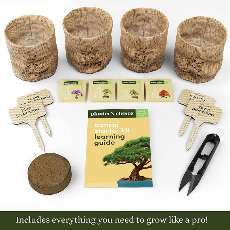 Bonsai Starter Kit - Gardening Gift for Women & Men - Bonsai Tree Growing Garden Crafts Hobby Kits for Adults, Unique DIY Hobbies for Plant Lovers - Unusual Christmas Gifts Ideas - or Gardener Mother