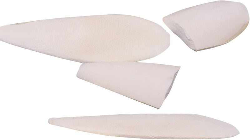 3 Pieces Cuttlebone Natural Polished Cuttlebone for Cockatiels Birds Reptiles Turtles and Snails Optimal Calcium and Mineral Supply 5.5-6.5 Inch