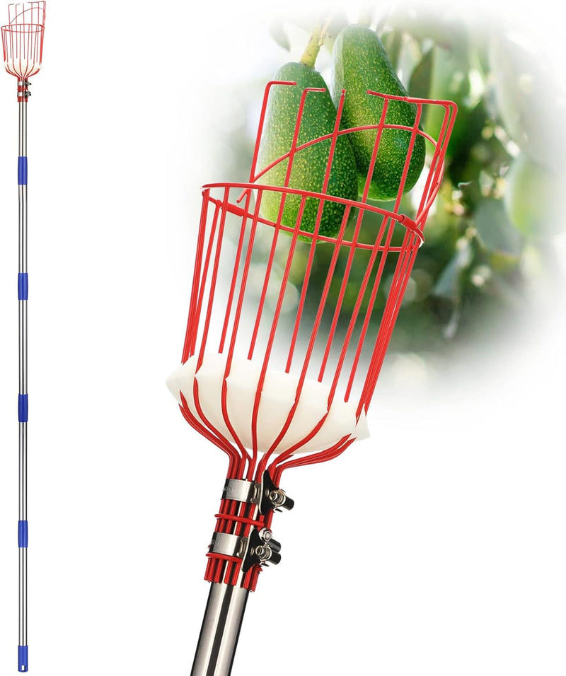 Donsail Fruit Picker Pole Tool with Basket Telescoping Long Handle, 35-65 Inch Adjustable Apple Orange Picker Pole Tool with Basket for Avocado Acorn Lemon Pear Mango Tree Picker