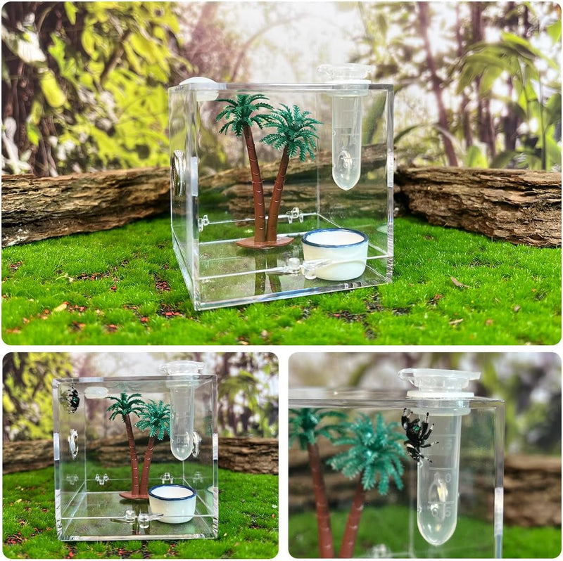 GKPONSX Jumping Spider Enclosure, Acrylic Snail Spider Terrarium Insect Breeding Box with Tongs Bowls Dropper for Snail Insects Gecko Scorpion Sling Mantis Frog Isopods Hermit Crabs (Coconut Tree)