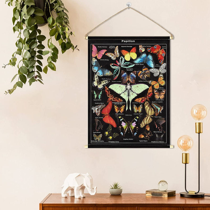 Lyacmy Butterfly Canvas Wall Art Vintage Glitter Poster Prints Colorful Wall Decor Artwork Illustrative Reference Chart Painting Pictures for Room, 15 X 20 Inches Home & Garden > Decor > Artwork > Posters, Prints, & Visual Artwork Lyacmy   