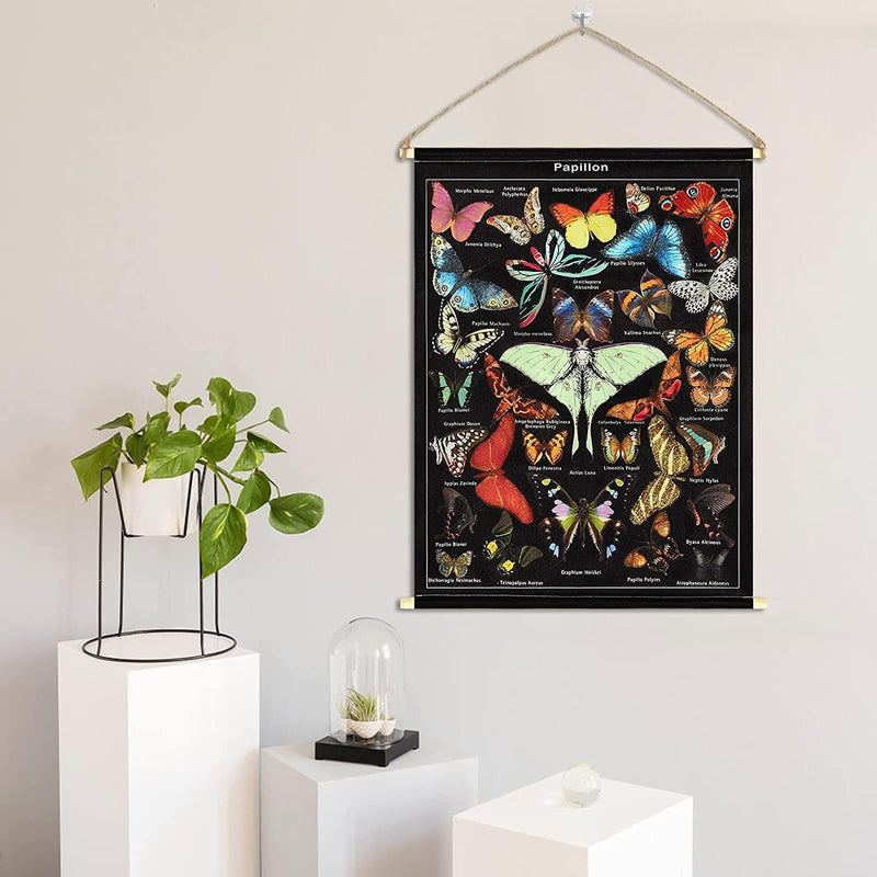 Lyacmy Butterfly Canvas Wall Art Vintage Glitter Poster Prints Colorful Wall Decor Artwork Illustrative Reference Chart Painting Pictures for Room, 15 X 20 Inches Home & Garden > Decor > Artwork > Posters, Prints, & Visual Artwork Lyacmy   