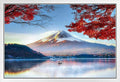 Mount Fuji Honshu Island Japan in Autumn Photo Photograph Cool Wall Decor Art Print Poster 36X24 Home & Garden > Decor > Artwork > Posters, Prints, & Visual Artwork Poster Foundry White Framed Art 12x18 