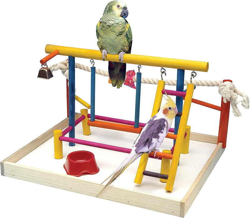 Penn-Plax Bird Life Wooden Playpen – Perfect for Cockatiels and Conures – Large Animals & Pet Supplies > Pet Supplies > Bird Supplies > Bird Cages & Stands Penn-Plax Extra Large  