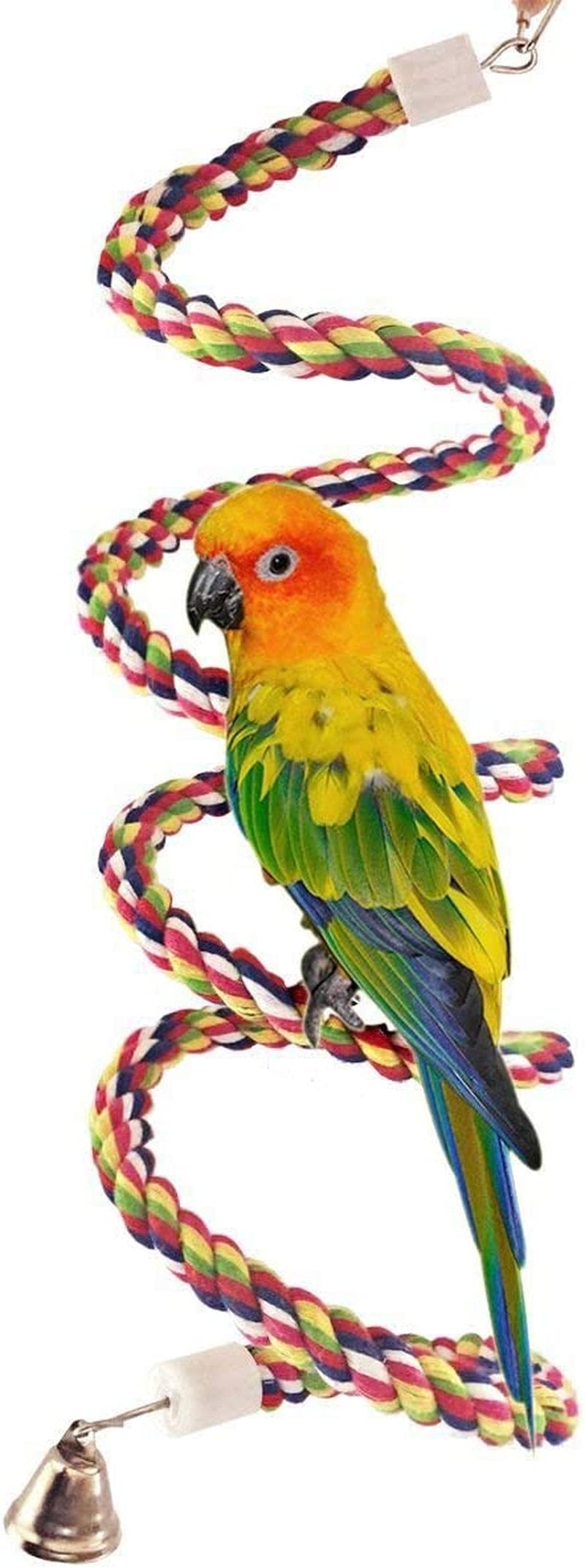 Pets Vv Bird Rope Perch Parakeet Toys, Spiral Bird Toy for Cockatiels, 13.7"&43" Bird Bungee Rope Perches Suitable Bird Cage Accessories Animals & Pet Supplies > Pet Supplies > Bird Supplies > Bird Cages & Stands Pets vv 63 inch  